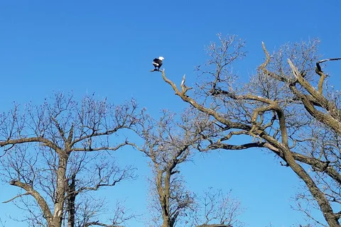 Union Grove State Park