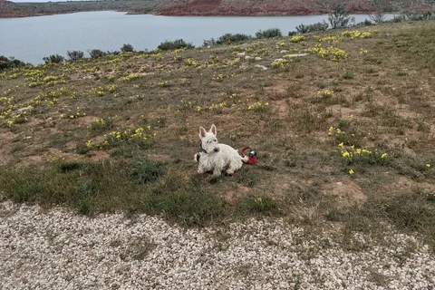 Sanford-Yake Campground - Lake Meredith National Recreation Area