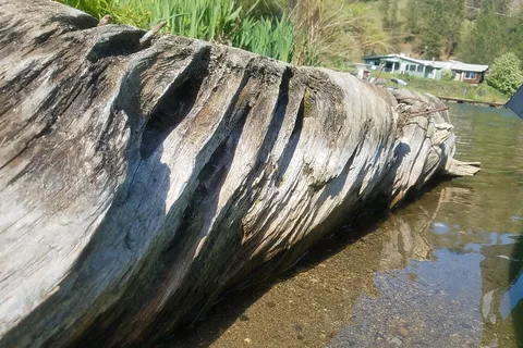 Willow Bay RV Resort and Marina
