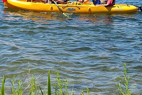 Willow Bay RV Resort and Marina