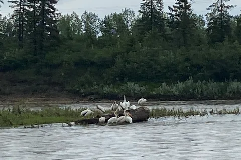 Red Deer Lions Municipal Campground