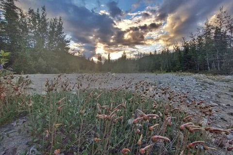 Eagle Trail State Recreation Site