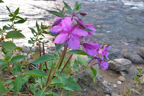 Eagle Trail State Recreation Site