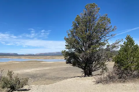 Blanco - Heron Lake State Park