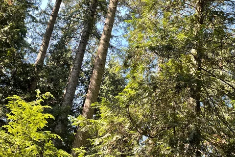 Roberts Creek Provincial Park