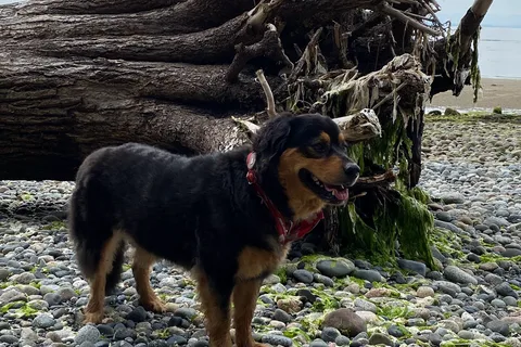 Roberts Creek Provincial Park