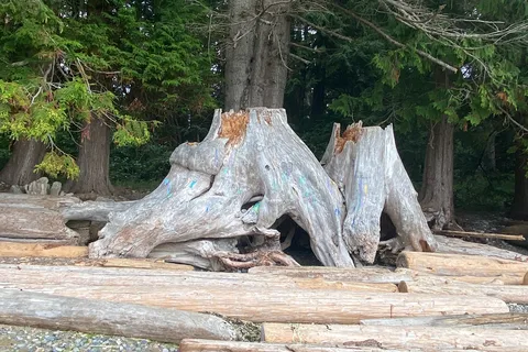 Roberts Creek Provincial Park