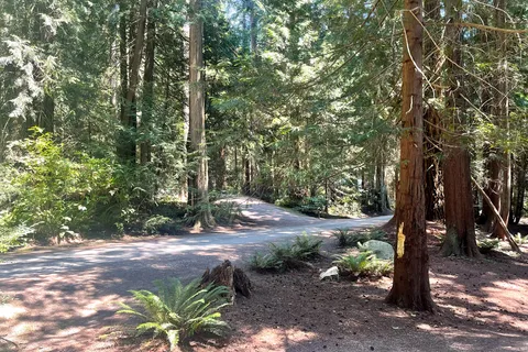 Roberts Creek Provincial Park