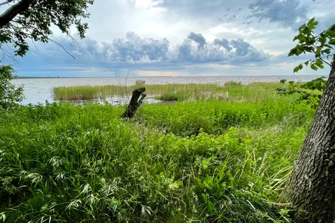 Birch Point Provincial Park