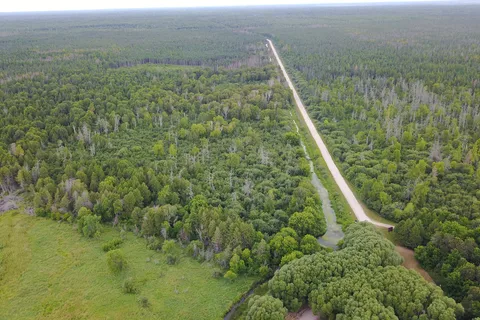 Birch Point Provincial Park