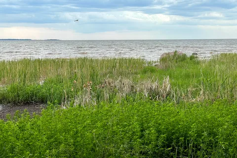 Birch Point Provincial Park