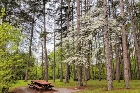 Dixon Springs State Park