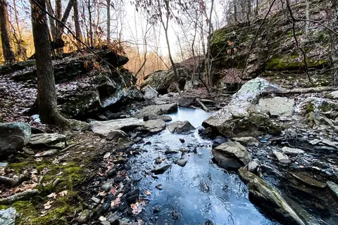 Dixon Springs State Park