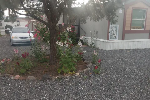 White Mountain RV