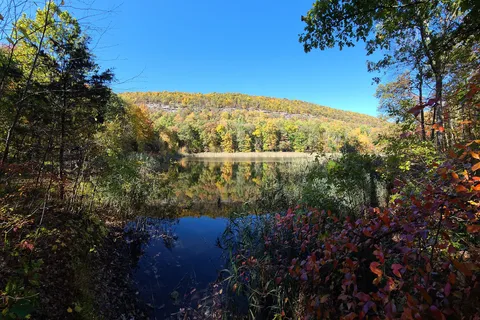 Camp Taylor Campground