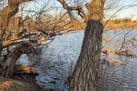 Whites Catfish Cove - Fort Cobb State Park