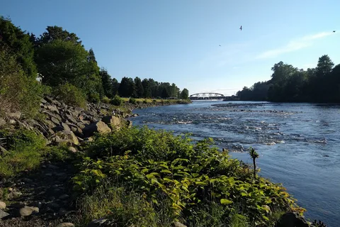 Capilano RV Park