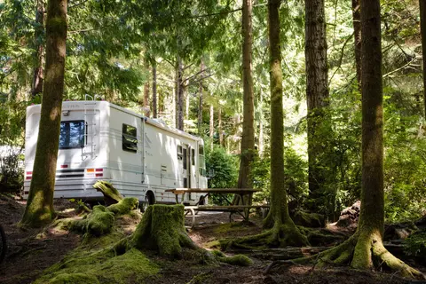 South Jetty RV and Camping Resort