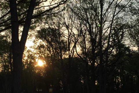 Rolling Oaks RV Park