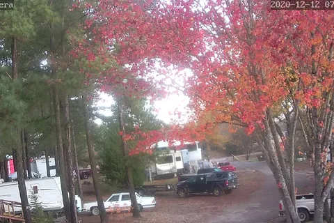Big Steves Resort RV Park and Marina