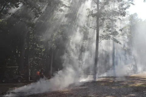 Davy Crockett Campground