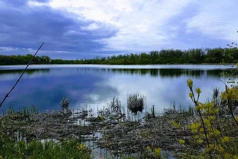 William Lake Provincial Park