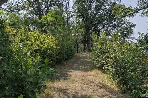 William Lake Provincial Park