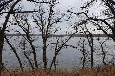 William Lake Provincial Park