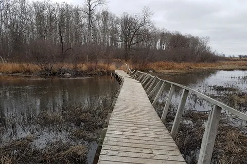 William Lake Provincial Park
