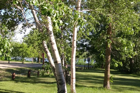 William Lake Provincial Park