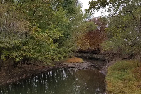 Scott Creek - Hillsdale State Park