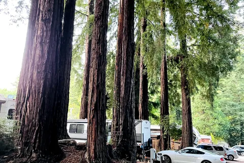 Redwood Resort RV Park and Campground