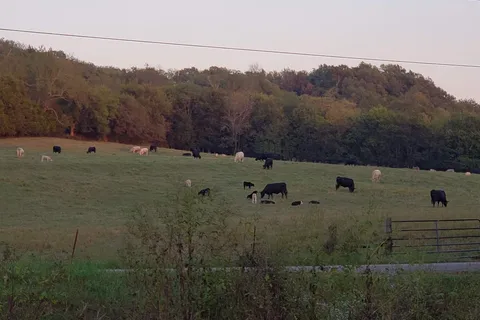 Stoney Creek Travel Park