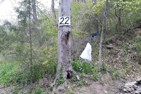 Gooney Creek Campgrounds