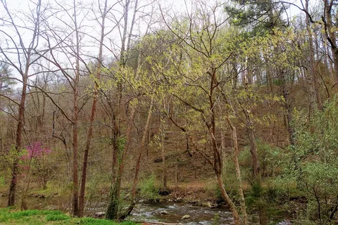 Gooney Creek Campgrounds
