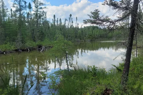 Lake Bemidji State Park