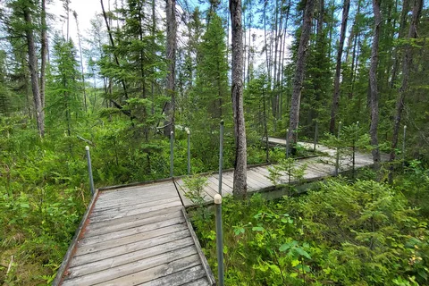 Lake Bemidji State Park