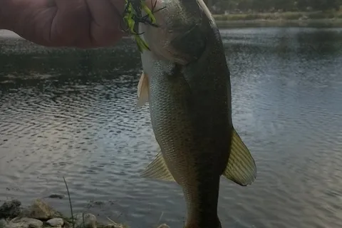 McAlpine Lake and Park