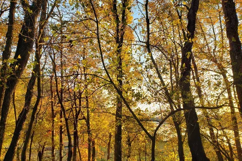 Muddy Run Recreation Park - Utility