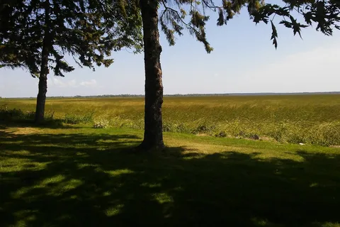 Andersons Cove Campground