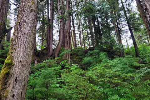 Settlers Cove State Recreation Site