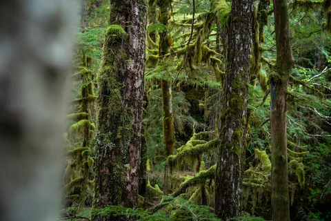 Settlers Cove State Recreation Site