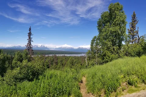 Kesugi Ken - Denali State Park