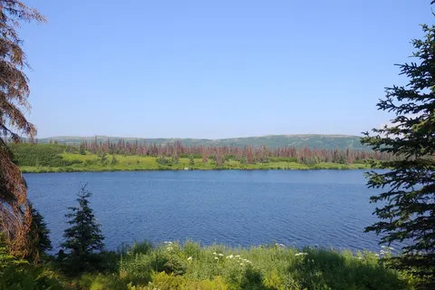 Kesugi Ken - Denali State Park