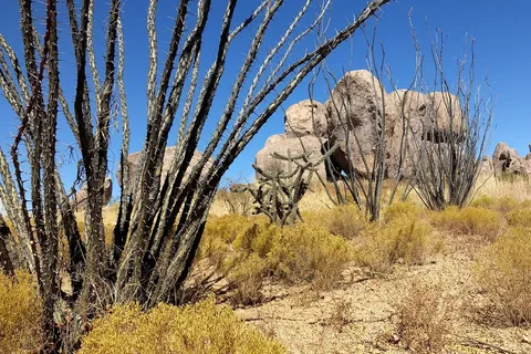 City Of Rocks State Park
