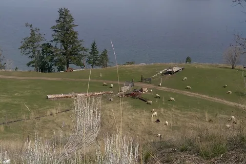 South - Okanagan Lake Provincial Park