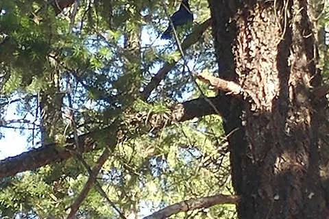 Stemwinder Provincial Park