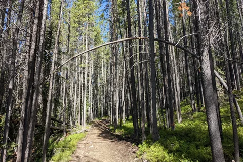 Lost Creek State Park