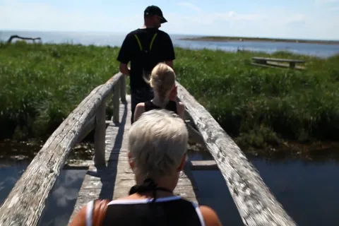 Camping De La Pointe-Taylor