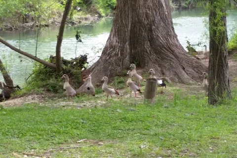 Riverside RV Park